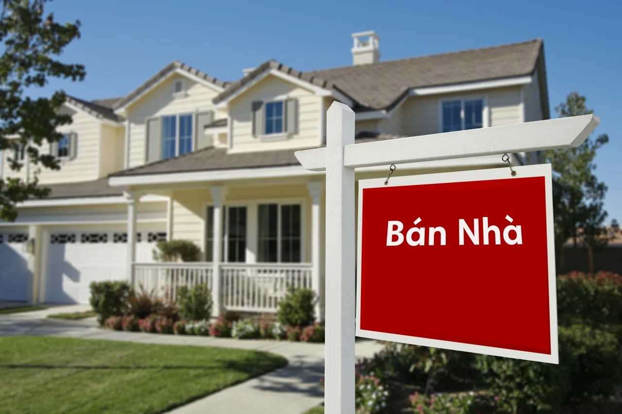 Nhà Riêng Cần Giờ: Đánh Giá Cơ Hội Đầu Tư