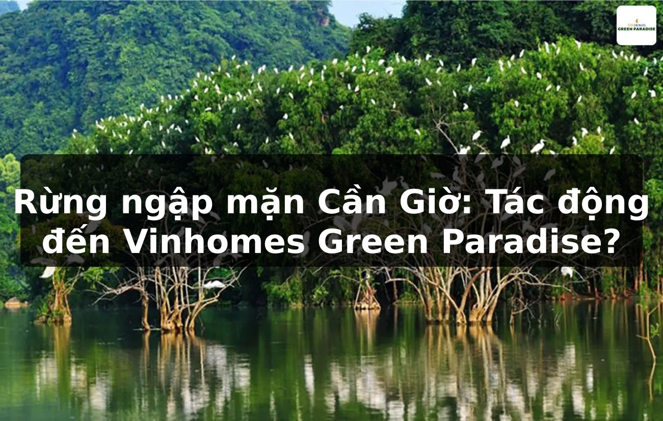 Rừng ngập mặn Cần Giờ: Tác động đến Vinhomes Green Paradise?
